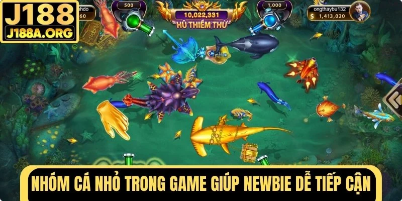 Nhóm cá nhỏ dễ tiếp cận