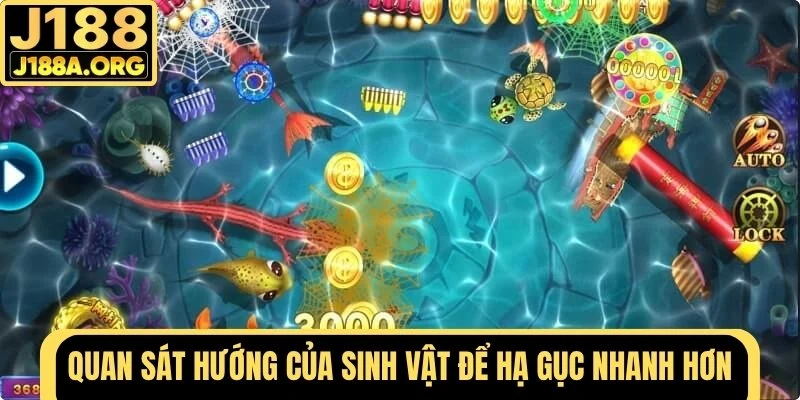 Quan sát hướng của sinh vật