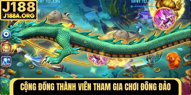Cộng đồng thành viên đông đảo