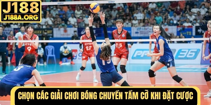 Chọn các giải chơi tầm cỡ