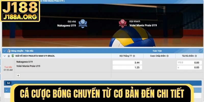 Cá cược bóng chuyền từ cơ bản đến chi tiết