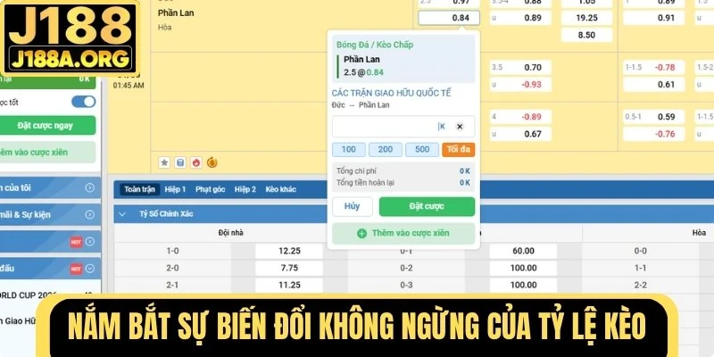 Nắm bắt sự biến đổi không ngừng của tỷ lệ