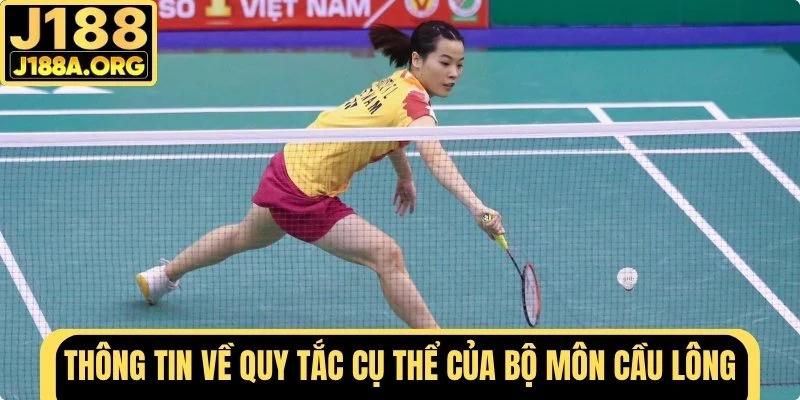 Thông tin về quy tắc cụ thể của bộ môn