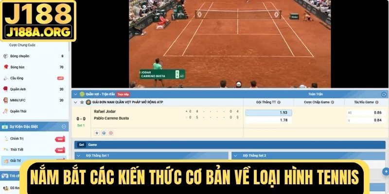 Nắm bắt các kiến thức cơ bản về loại hình