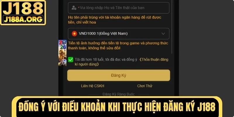 Đồng ý với các điều khoản