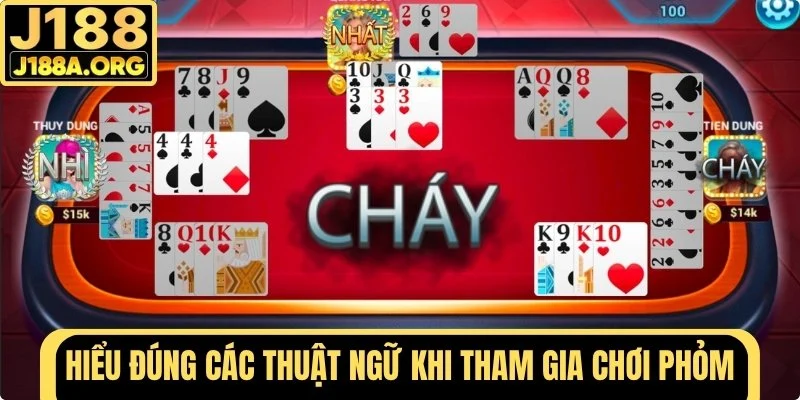 Hiểu đúng các thuật ngữ